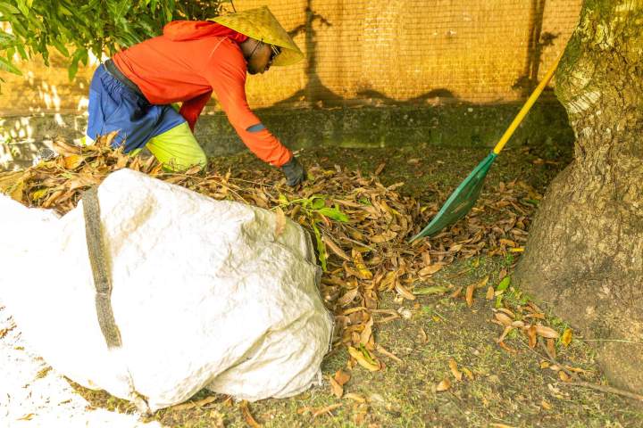 Plantation de jardins Martinique