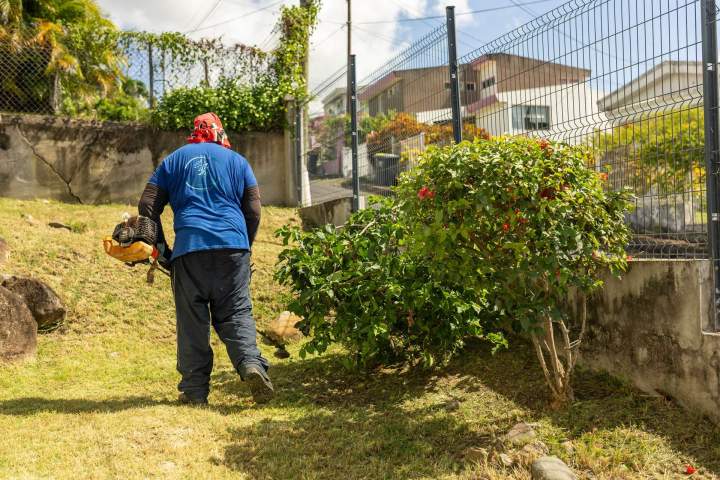 Plantation de jardins Martinique
