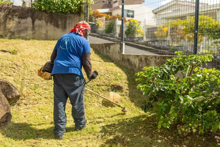 Plantation de jardins Martinique