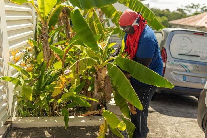 Plantation de jardins Martinique