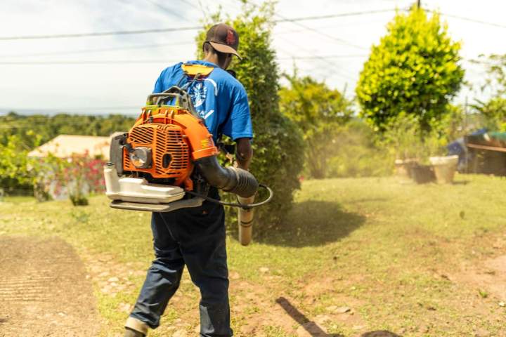 Plantation de jardins Martinique