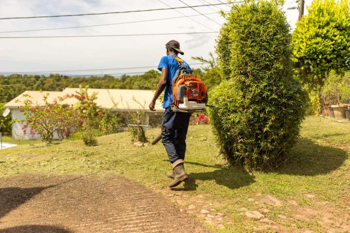 Plantation de jardins Martinique