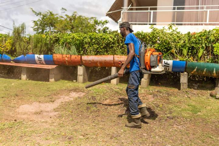 Plantation de jardins Martinique