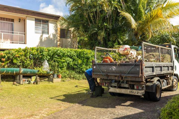 Plantation de jardins Martinique