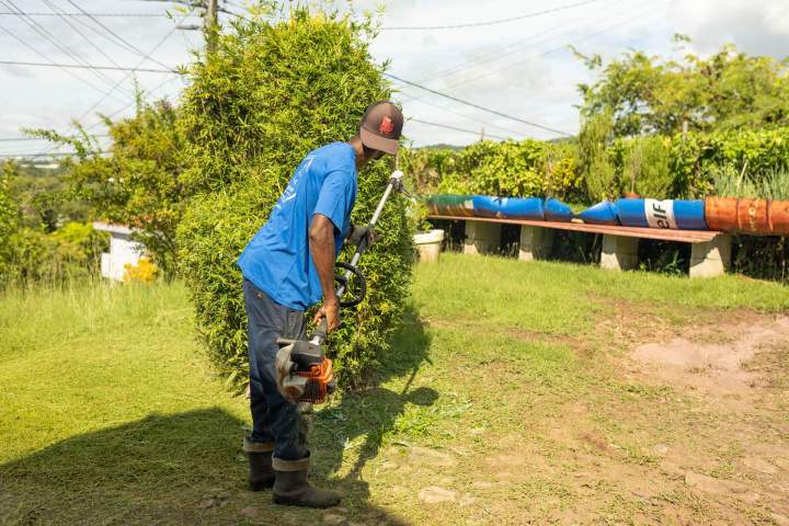 Plantation de jardins Martinique