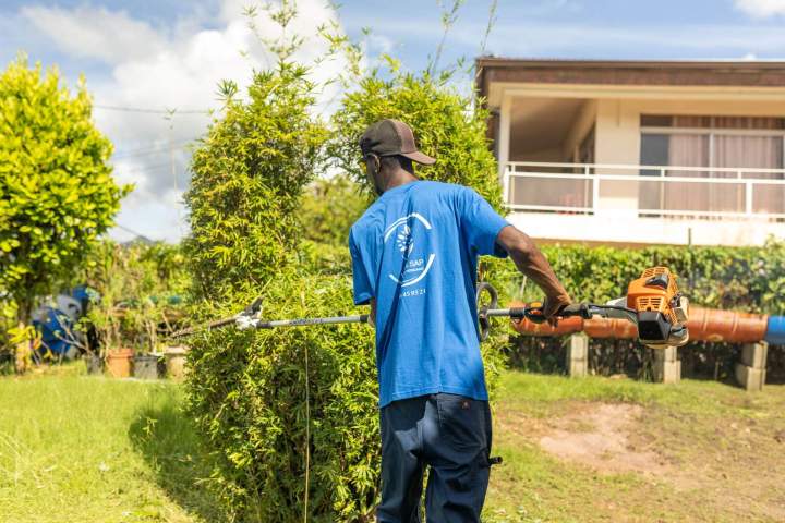 Plantation de jardins Martinique