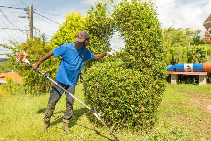 Plantation de jardins Martinique
