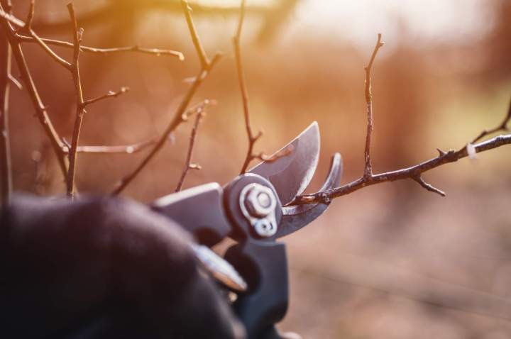Aide à domicile, Case-Pilote